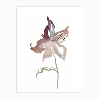 Lily 1 Art Print