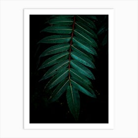 Tropical Leaf Art Print