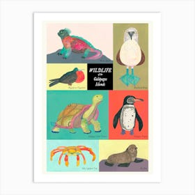 Galapagos Animals Art Print