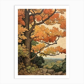 White Ash 1 Vintage Autumn Tree Print  Art Print