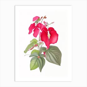 Impatiens Floral Quentin Blake Inspired Illustration 2 Flower Art Print