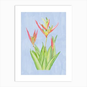 Vibrant pink and green Heliconia Tropical Flowers and leaves in Watercolor faded On blue Art Print