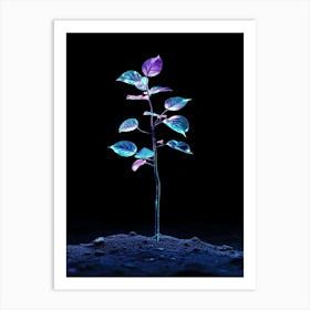 Plant In The Dark 11 Art Print