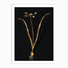 Vintage Allium Scorzonera Folium Botanical in Gold on Black n.0068 Art Print