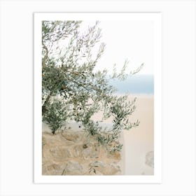 Olive Tree By The Sea In Greece  Art Print