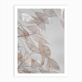 Abstract Branches Collected In The Forest Art Print