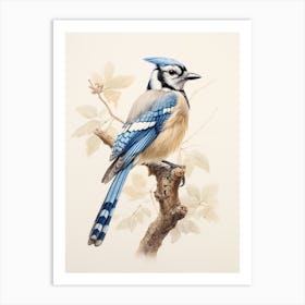 Vintage Bird Drawing Bluejay Art Print