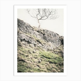 Lone Tree on Rocky Landscape Art Print