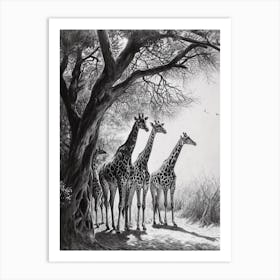 Herd Of Giraffe By The Tree 5 Art Print