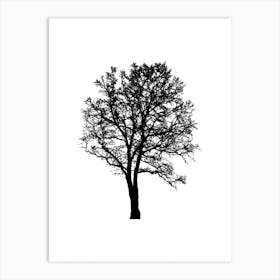 Silhouette Of A Tree Art Print