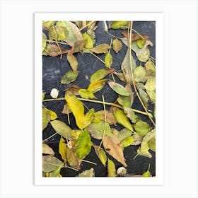 Autumn Leaves Art Print