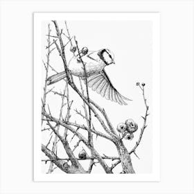 Tomtit and hawthorn Art Print