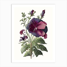 Wild Petunia Wildflower Vintage Botanical 2 Art Print