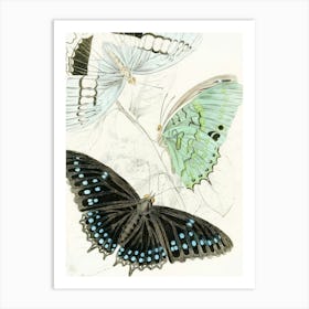 Vintage Butterflies In Flight 2 Art Print