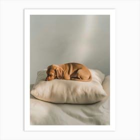 Dachshund Pillow.Generated AI. Wall Art Print Póster