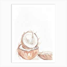 Watercolour 3 Coconuts Art Print