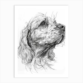 Clumber Spaniel Dog Line Sketch 2 Art Print