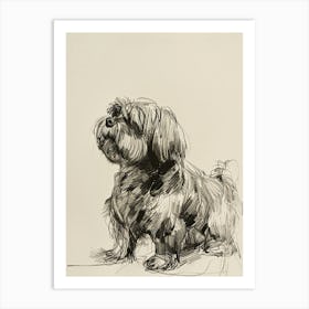 Lhasa Apso Dog Line Sketch 1 Art Print