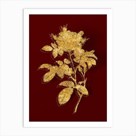 Vintage Red Portland Rose Botanical in Gold on Red n.0285 Art Print