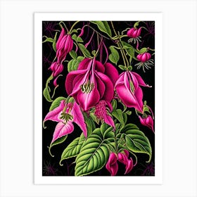 Fuchsia 3 Floral Botanical Vintage Poster Flower Art Print