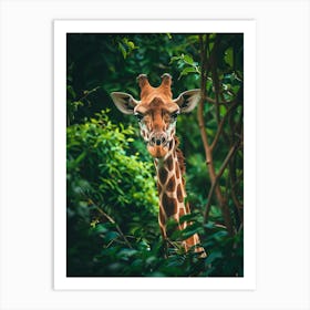 Giraffe 4 Art Print