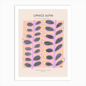 Botanic Collection - Peach Fuzz - Alpine Lipnice Art Print Art Print