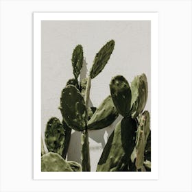 Moody Cactus Art Print