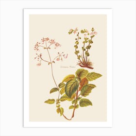 Emmanuel Moor Art Print