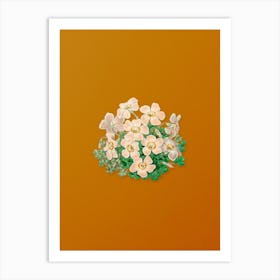 Vintage Piotta's Oxalis Flower Botanical on Sunset Orange n.0127 Art Print