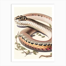 Bull Snake Vintage Art Print