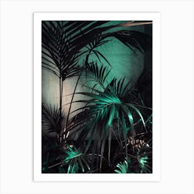 Palms In The Dark Art Print