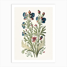 Nemesia 1 Floral Botanical Vintage Poster Flower Art Print