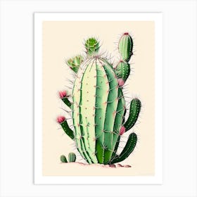 Trichocereus Cactus Retro Drawing Art Print