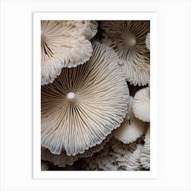 Mushroom Photography 2 Art Print