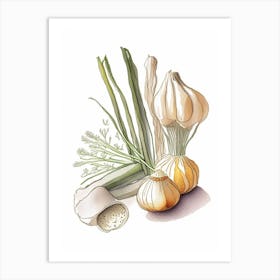 Garlic Spices And Herbs Pencil Illustration 2 Art Print