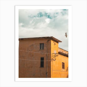 Eagle Flying Over A Building Art Print