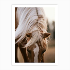 Flowing Beauty - Belgium horse close up photo print - moody animal photography art Art Print