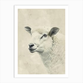 Portrait Of A Sheep Art Print