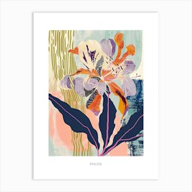 Colourful Flower Illustration Poster Phlox 4 Art Print