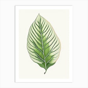Hosta Leaf Warm Tones 4 Art Print