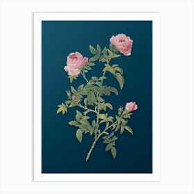 Acdzp Vintage Rose Of The Hedges Botanical Art On Teal Blue N Art Print