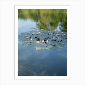 Water lilies and reflection in a pond 1 Art Print