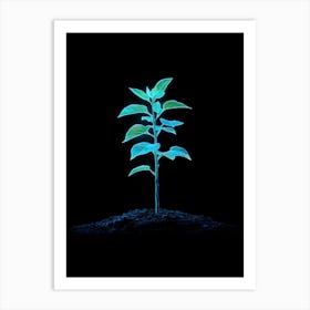 Plant Growing On Black Background 4 Art Print