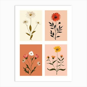 Set Of 4 Simple Hand Drawn Daisies On Pink Paper Art Print