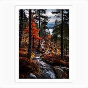 Autumn Forest In Scotland Art Print