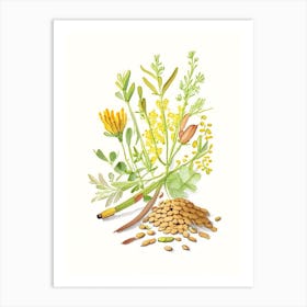 Fenugreek Spices And Herbs Pencil Illustration 1 Art Print