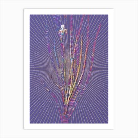 Geometric Siberian Iris Mosaic Botanical Art on Veri Peri n.0062 Art Print