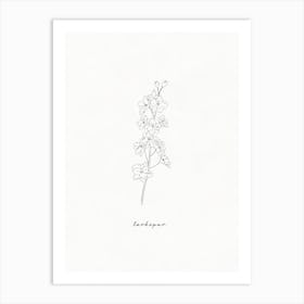 Larkspur Line Drawing Art Print