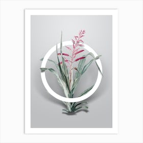 Vintage Pitcairnia Bromeliaefolia Minimalist Botanical Geometric Circle on Soft Gray n.0008 Art Print