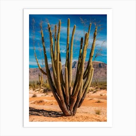 Cactus In The Desert 4 Art Print